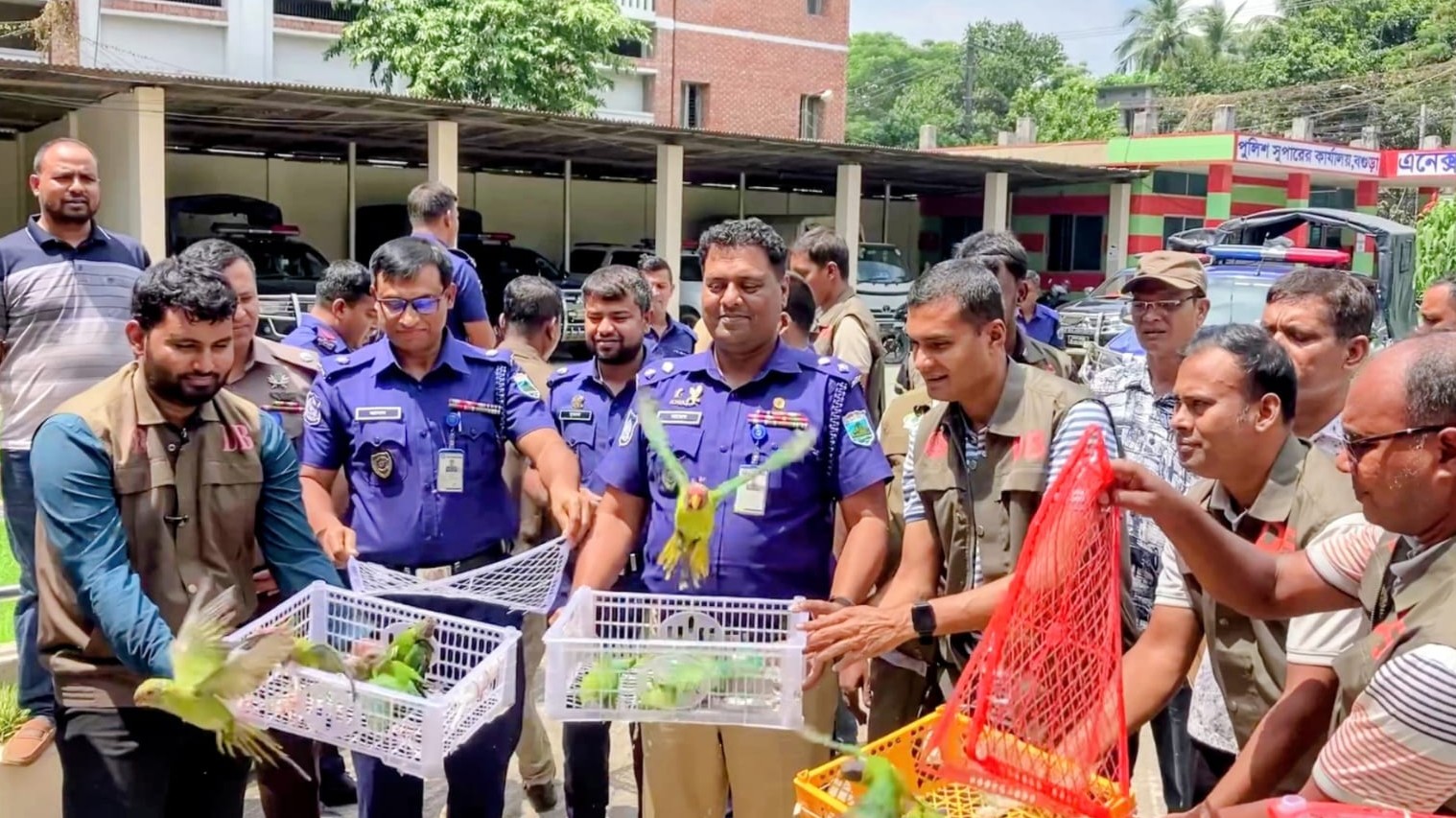 বগুড়ায় বাস তল্লাশিতে ১০৩ প্যারাকিট টিয়া উদ্ধার ডিবির